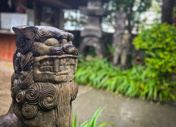 境内の風景
